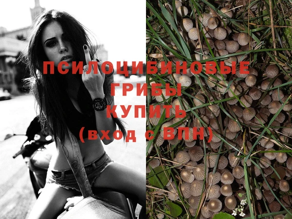 соль ск Михайловка