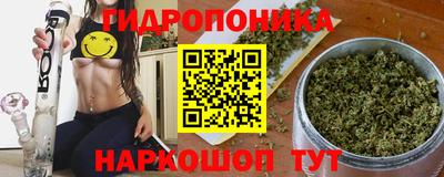 крисы Кандалакша