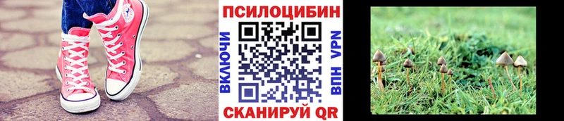 Галлюциногенные грибы MAGIC MUSHROOMS  наркота  Лесозаводск 