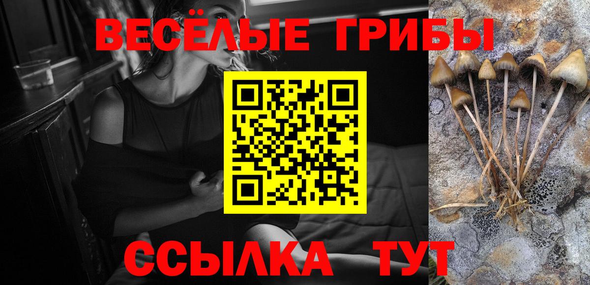 Галлюциногенные грибы Psilocybine cubensis  Вход с VPN  Псилоцибиновые грибы Cubensis  Лесозаводск 