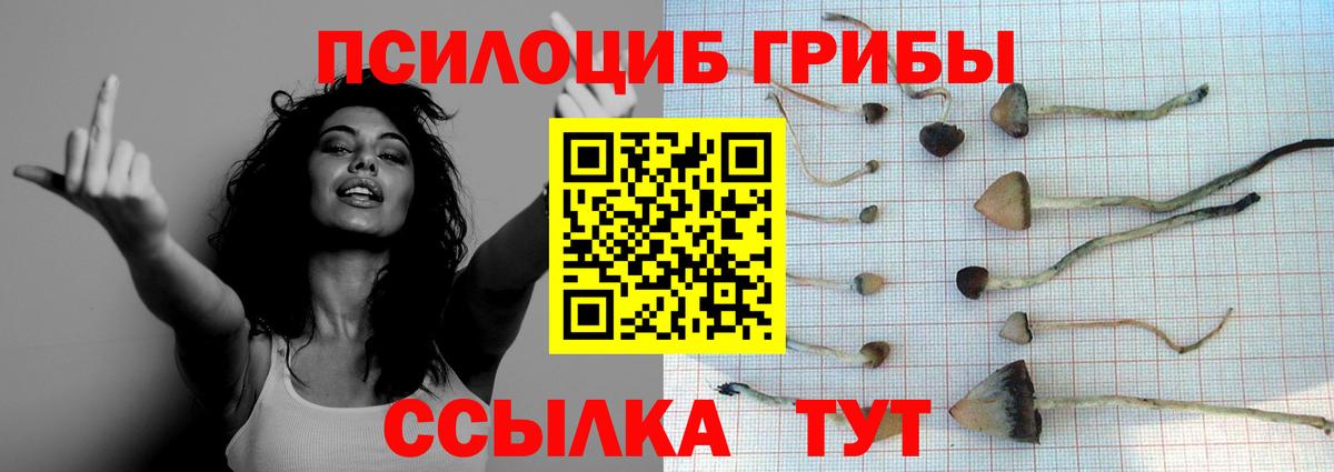 ГАШИШ Лесозаводск