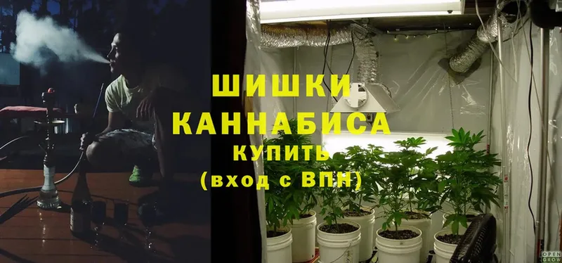 hydra зеркало  Лесозаводск  Каннабис Bruce Banner  где купить наркоту 